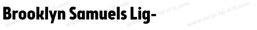Brooklyn Samuels Lig字体转换